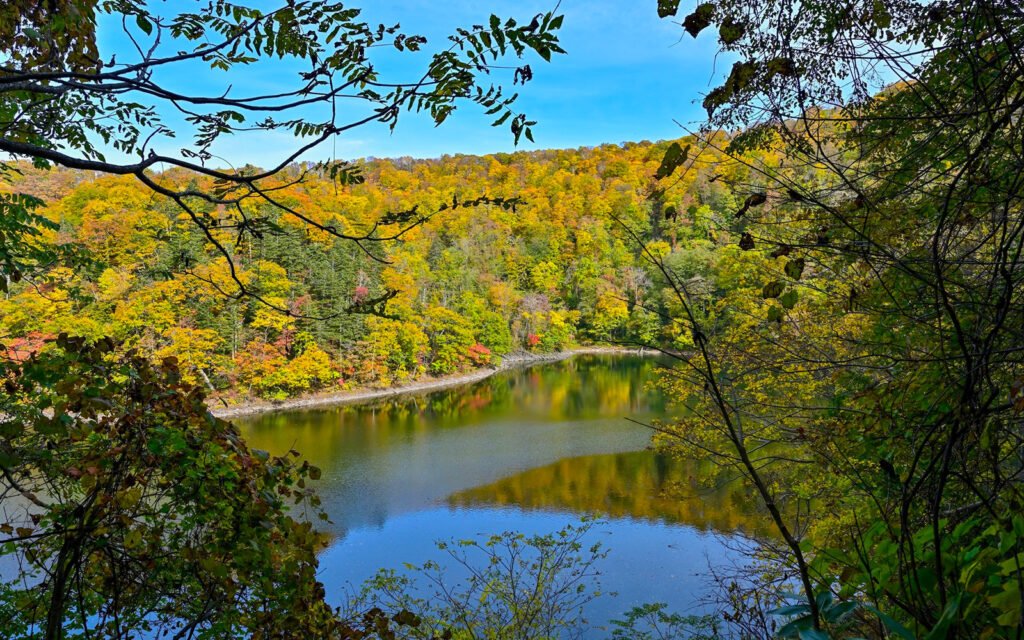 ⛰️ 요테이 산 이미지 5